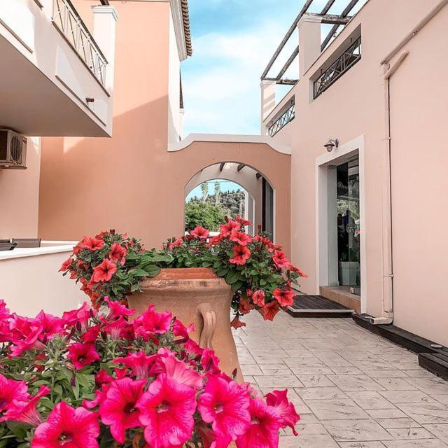 Sidárion Corfu Palmar Hotel المظهر الخارجي الصورة